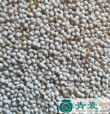中药材糜穰图片