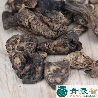 中药材糯虎掌图片