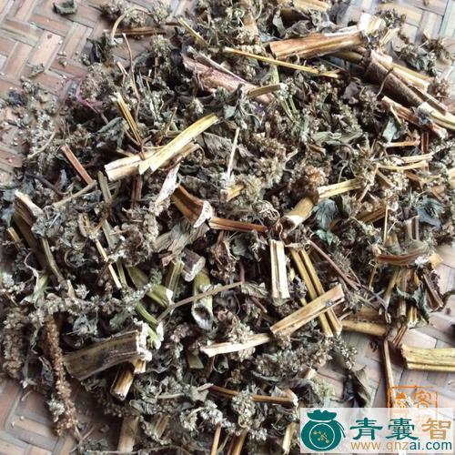 中药材索菜图片