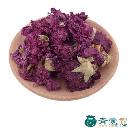 中药材紫兰花图片