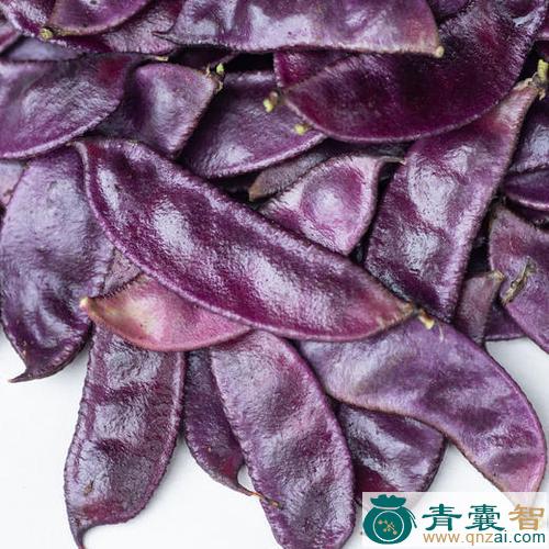 中药材紫扁豆图片