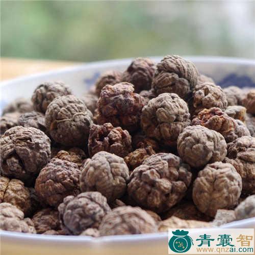 紫柄茀蕨的性味归经以及功效用法-青囊智