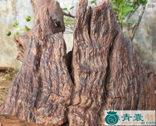 中药材紫柚木图片