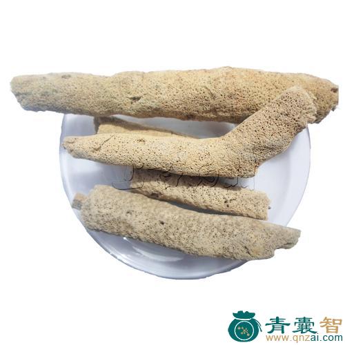 紫梢花的性状性味归经以及功效用法-青囊智