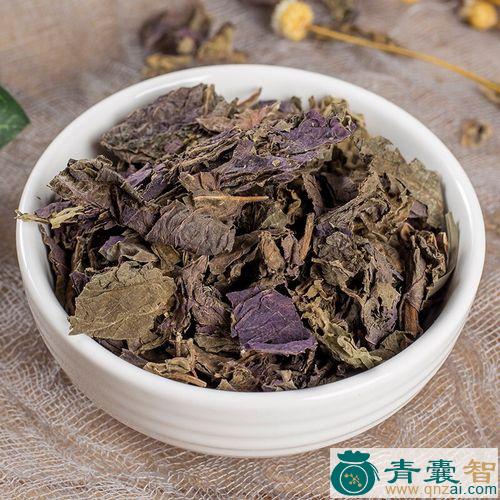 中药材紫楠叶图片