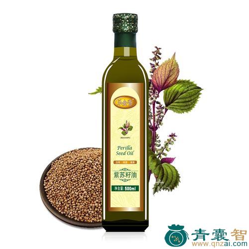 中药材紫油苏图片