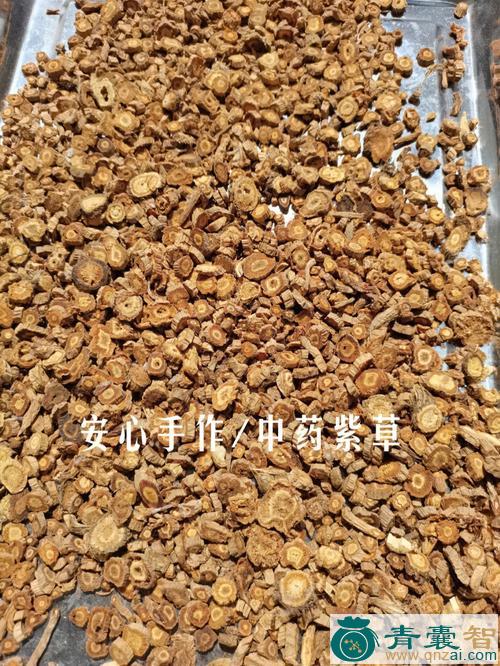 中药材紫泡图片