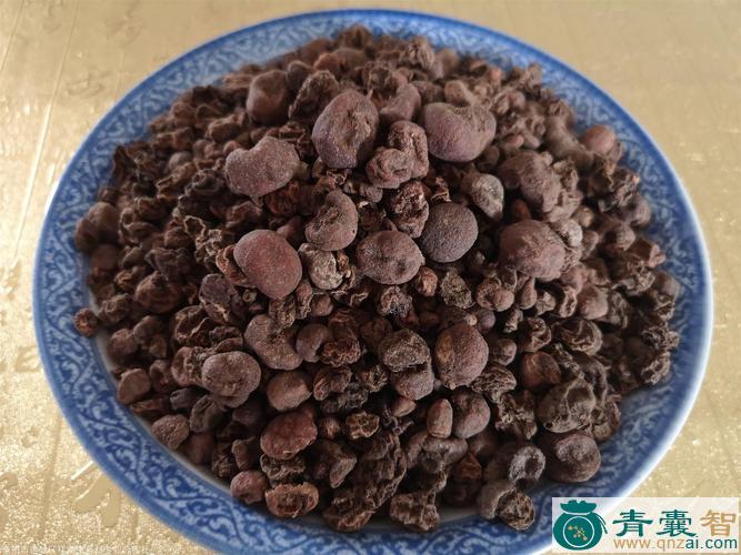 中药材紫背天葵子图片