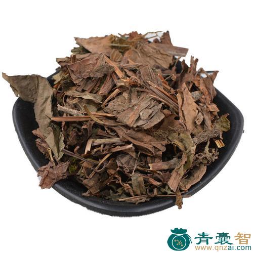 紫背鱼腥草的性状性味归经以及功效用法和注意事项-青囊智