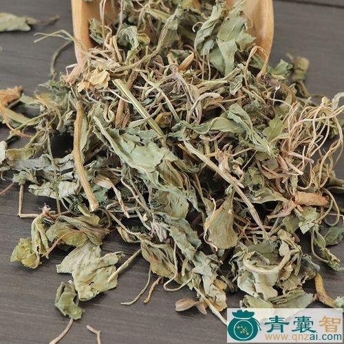 中药材紫花料梢图片