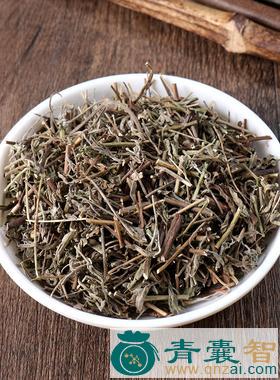 中药材紫花香菜图片