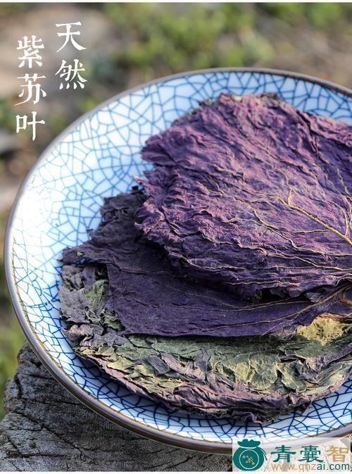 中药材紫苏兜图片