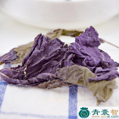 中药材紫苏头图片