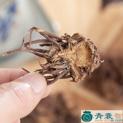 中药材紫苭图片