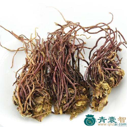 中药材紫菀千花图片