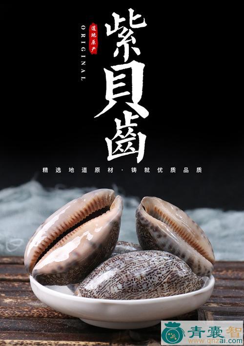 中药材紫贝子图片