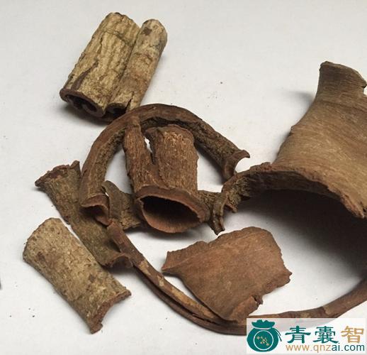 紫金皮的性状性味归经以及功效用法和注意事项-青囊智