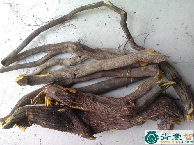 中药材紫青藤根图片