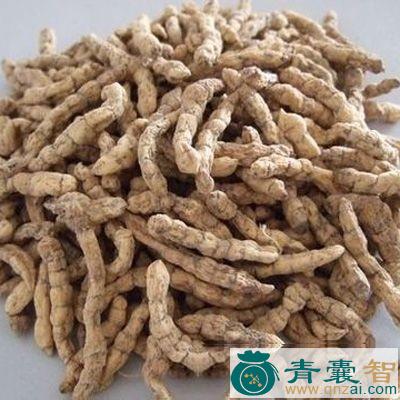 中药材紫麦角图片