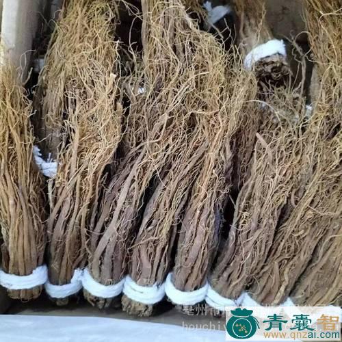 中药材红丝络图片