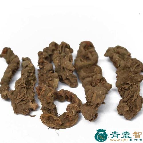红八角莲的性味归经以及功效用法-青囊智