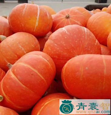 中药材红南瓜图片