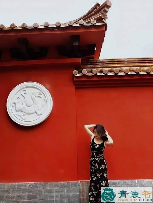 中药材红墙套图片