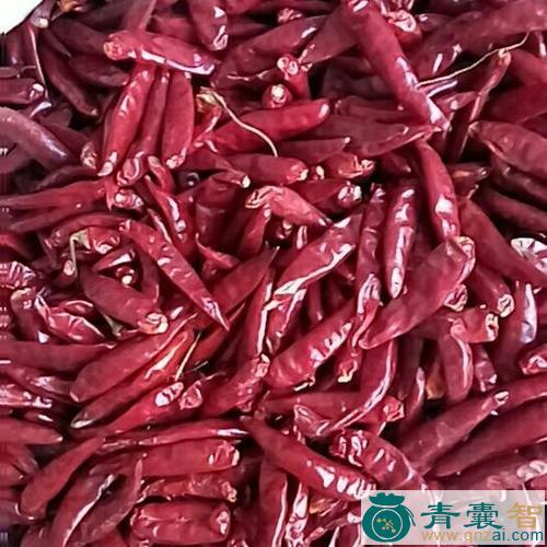 中药材红天椒图片