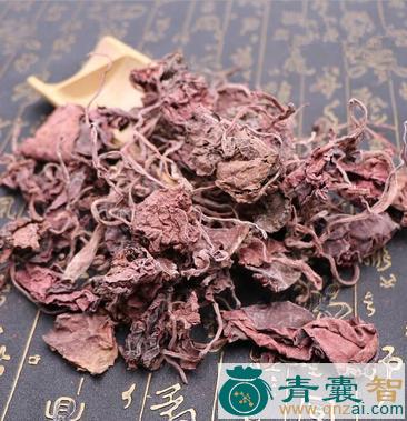 中药材红天葵图片