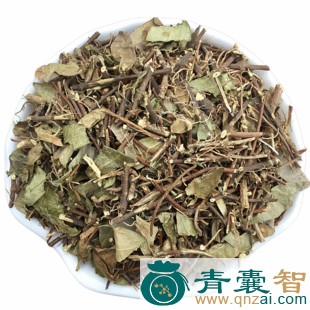 红对叶肾的性状性味归经以及功效用法-青囊智