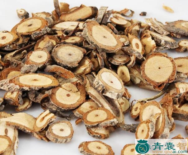 中药材红木香图片
