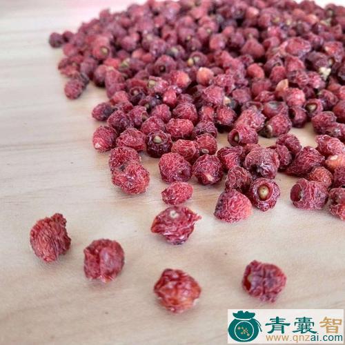 中药材红果木图片
