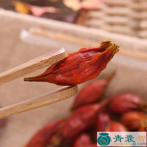 中药材红枝子图片