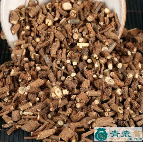 红柴胡的性状性味归经以及功效用法和注意事项-青囊智