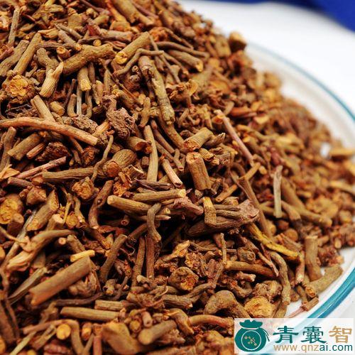 中药材红根子图片