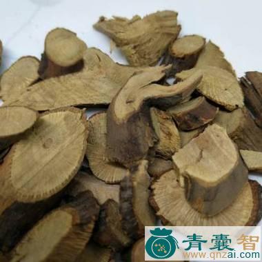 中药材红梅消图片