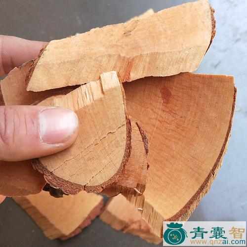 中药材红毒茴根图片