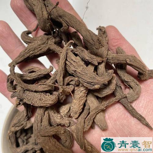 中药材红毛将军图片