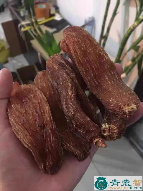 中药材红油麻图片