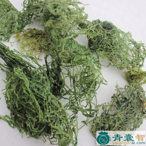 中药材红海粉图片