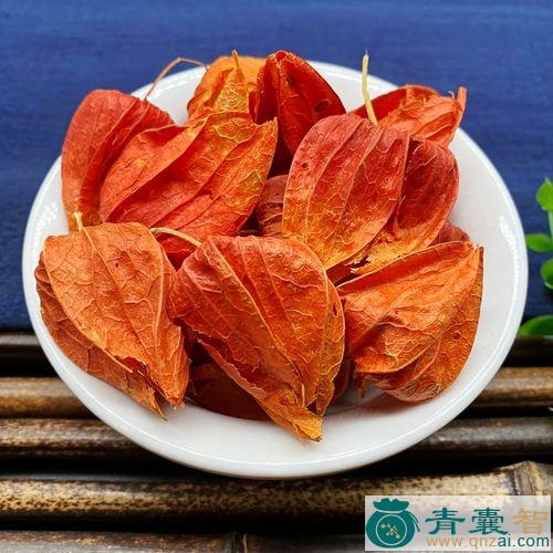 红灯笼的性状性味归经以及功效用法和注意事项-青囊智