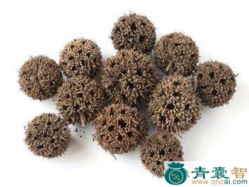 中药材红白二丸果图片