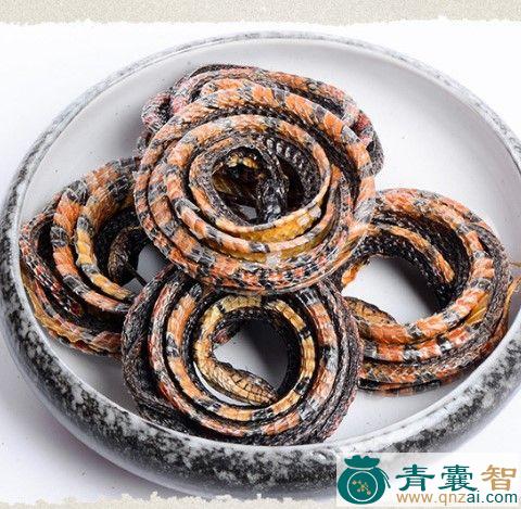 中药材红盘图片
