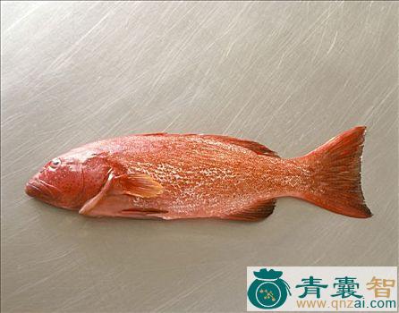 中药材红目鳟图片