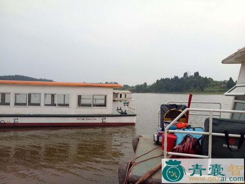 中药材红眼棒图片