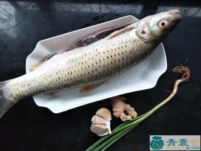 中药材红眼鱼图片