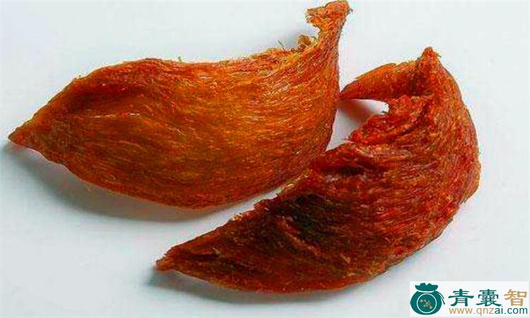 中药材红腰家燕图片
