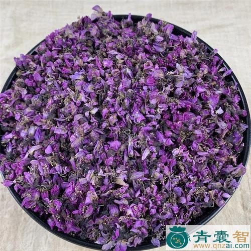 中药材红花紫荆图片