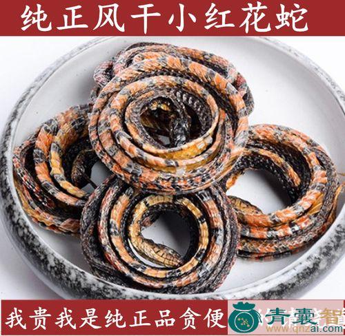 中药材红花蛇不过图片