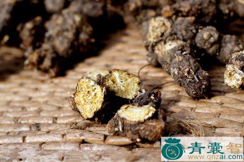中药材红苍术图片